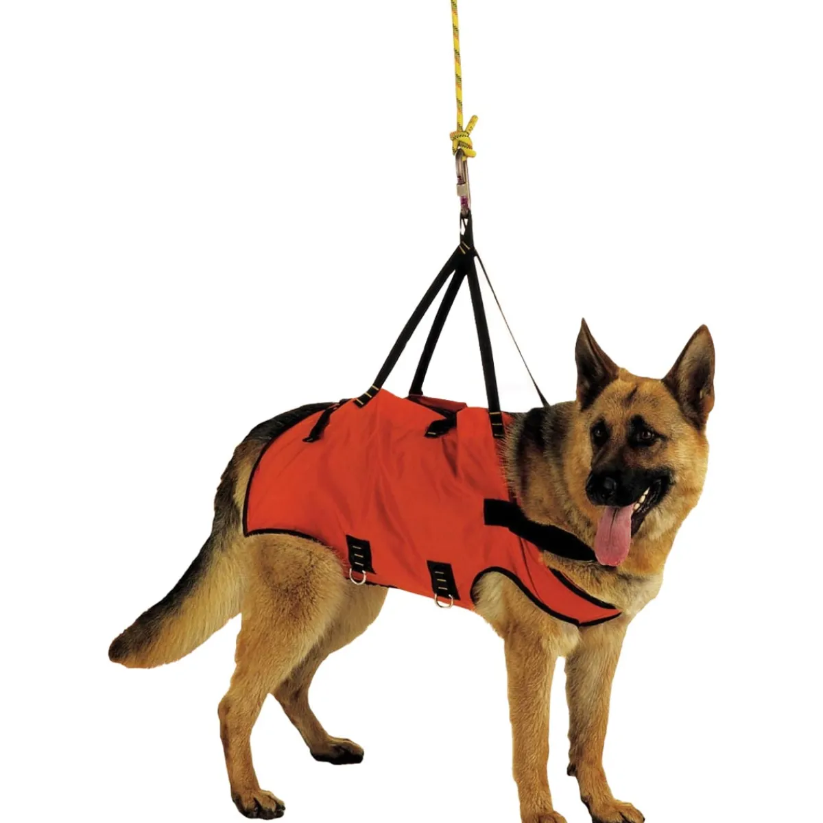 Alp Design Taxi dog harness Online