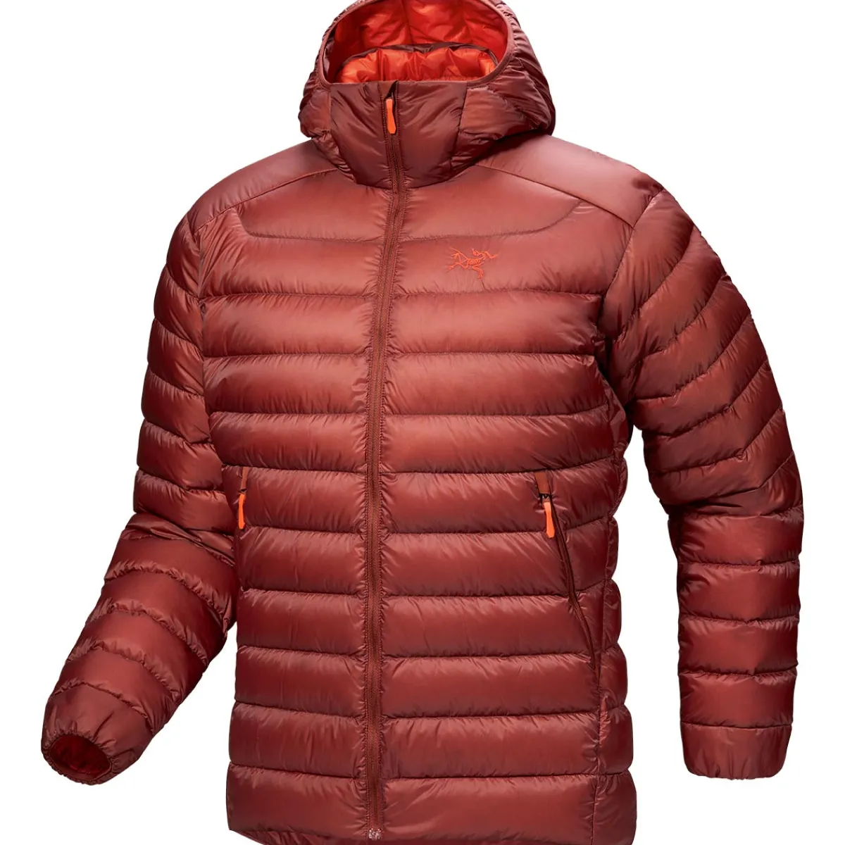 Arc'teryx Cerium Hoody men's down jacket Sequoia/Solaris Online