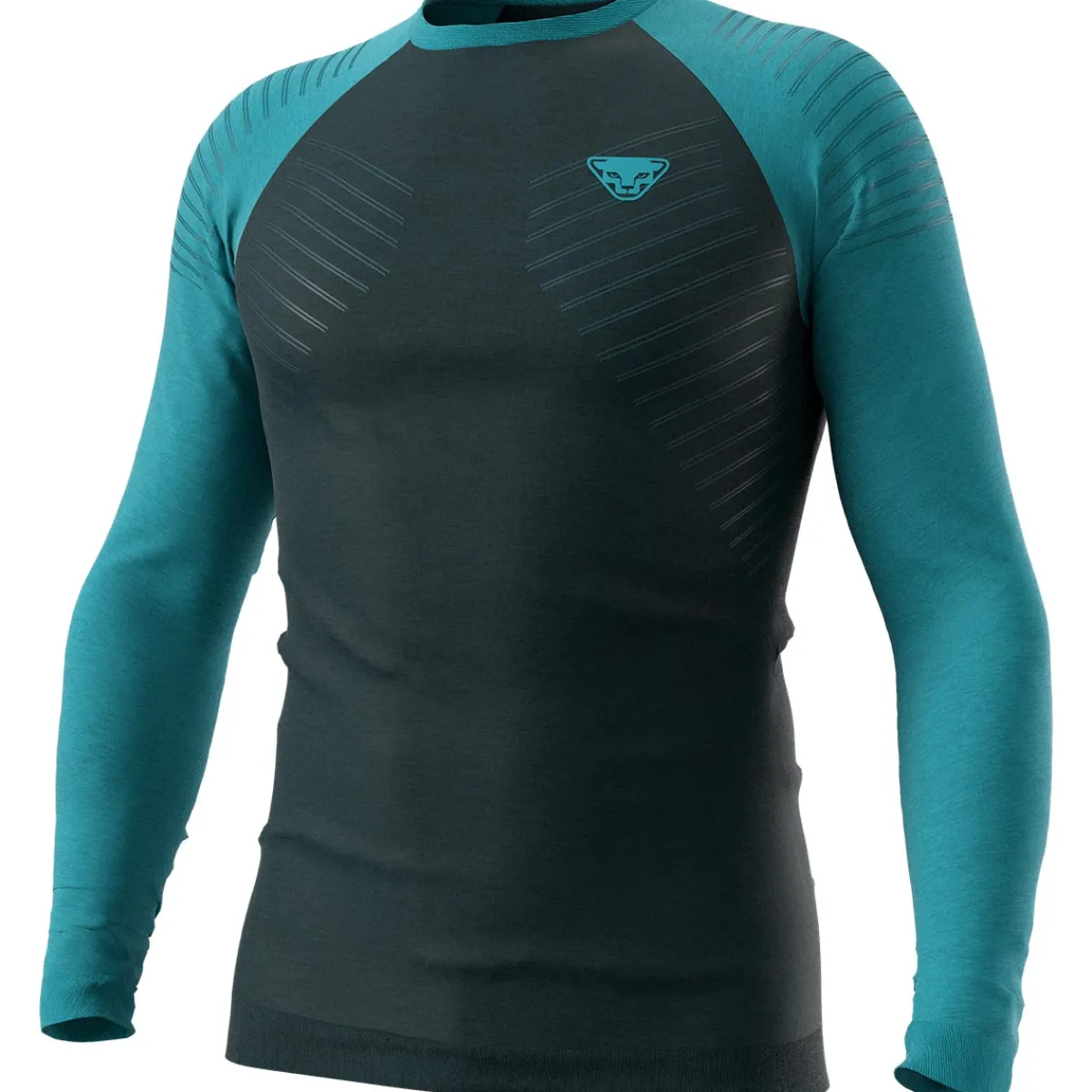 Dynafit Tour Light Merino L/S Tee men's long-sleeved t-shirt Storm Blue Store