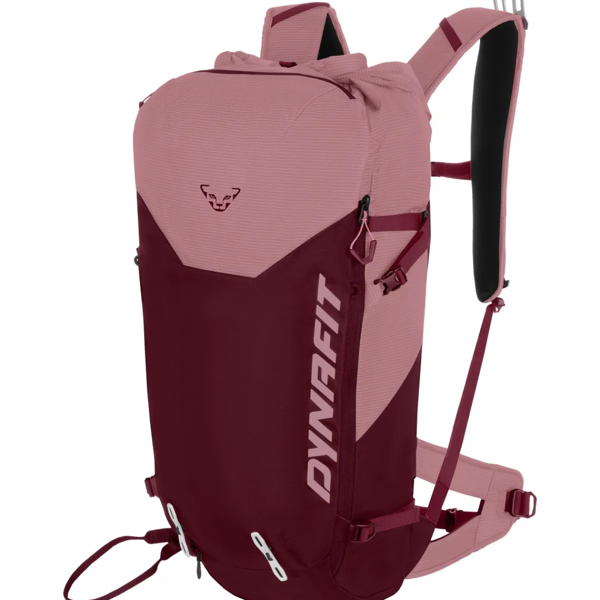 Dynafit Trail 30+ W women's ski mountaineering backpack Cheap