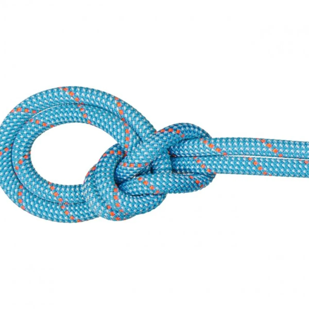 Mammut 9.8 Crag Classic Rope climbing rope Hot