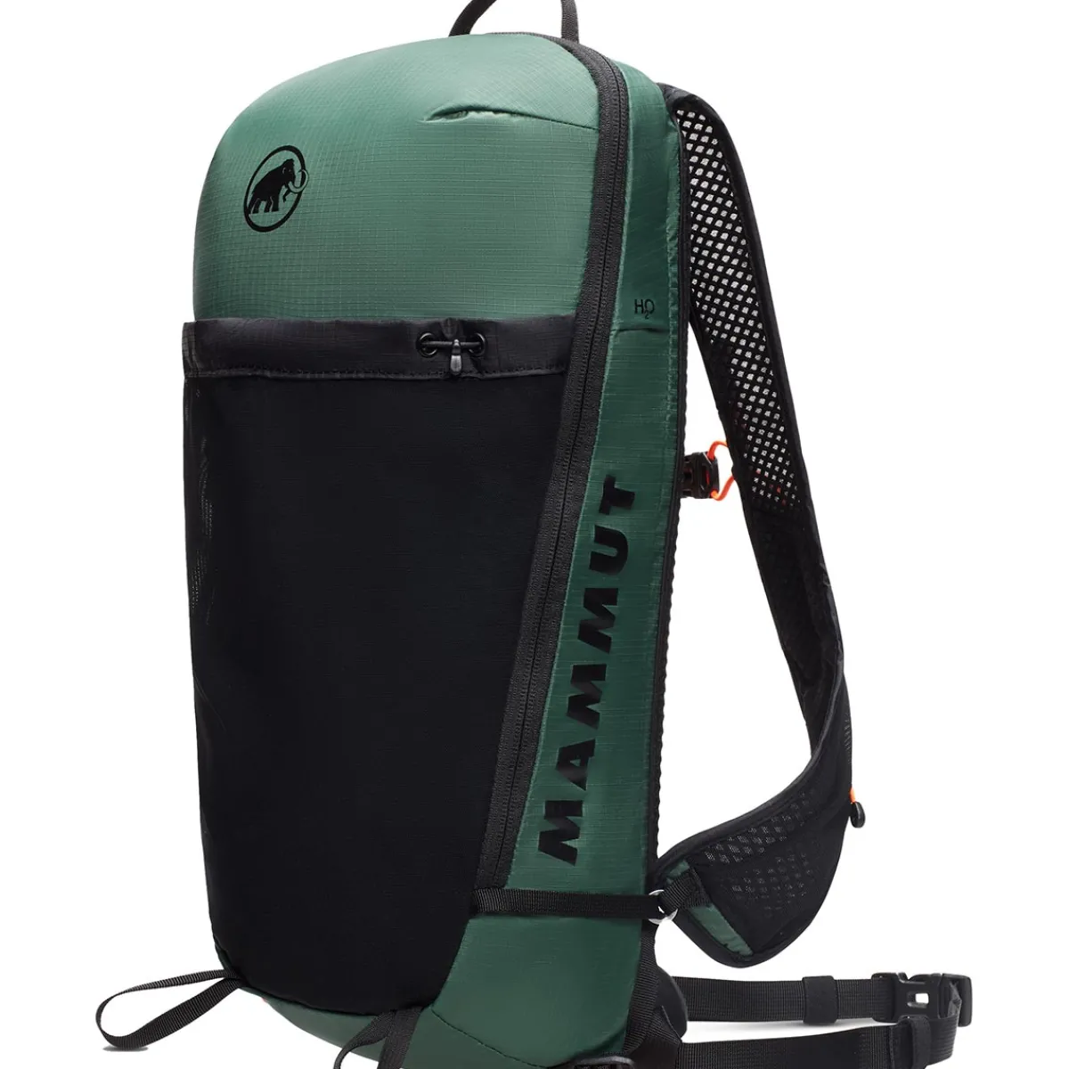 Mammut Aenergy 12 trekking backpack Cheap