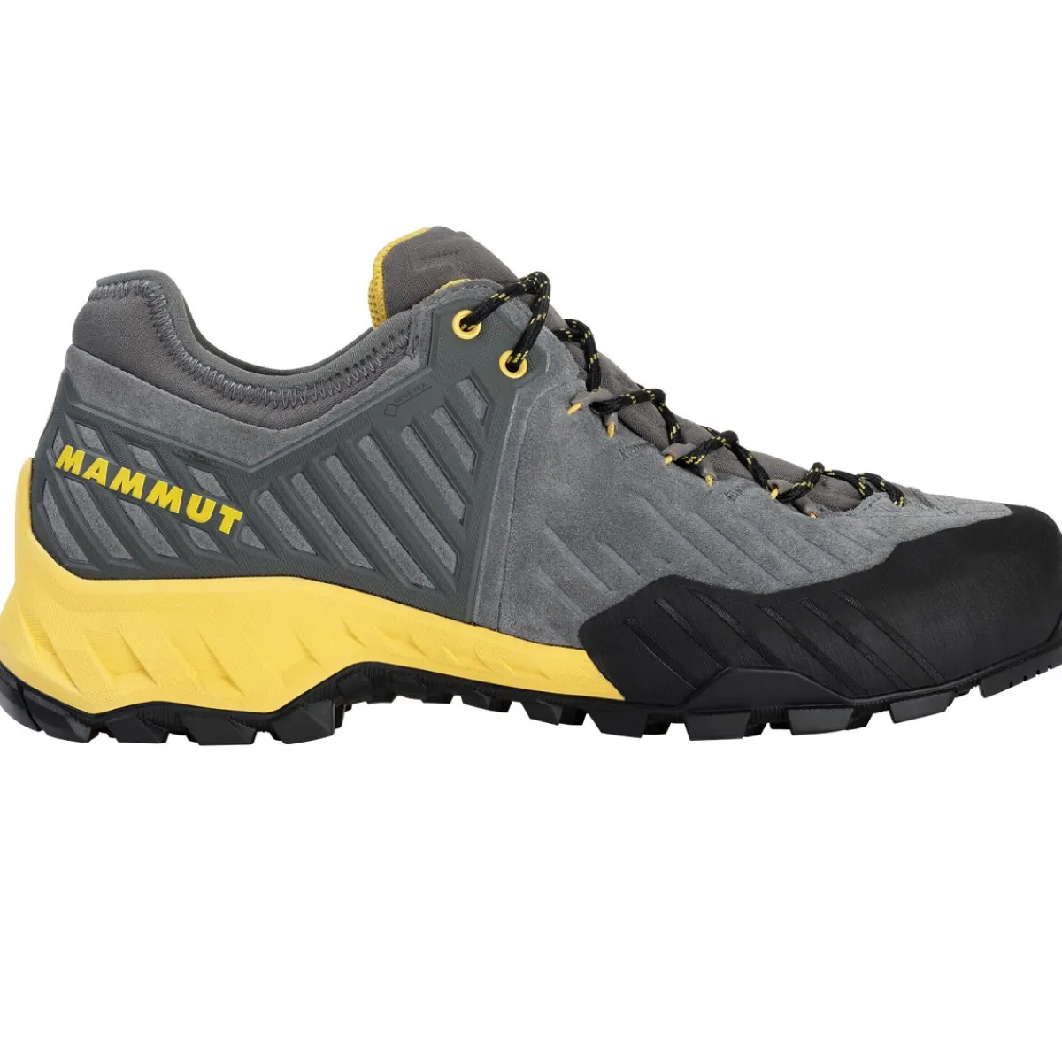 Mammut Alnasca II Low GTX Women approach shoes Cheap