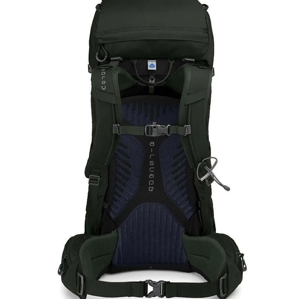 Osprey Kestrel 38 trekking backpack Bonsai Green Hot
