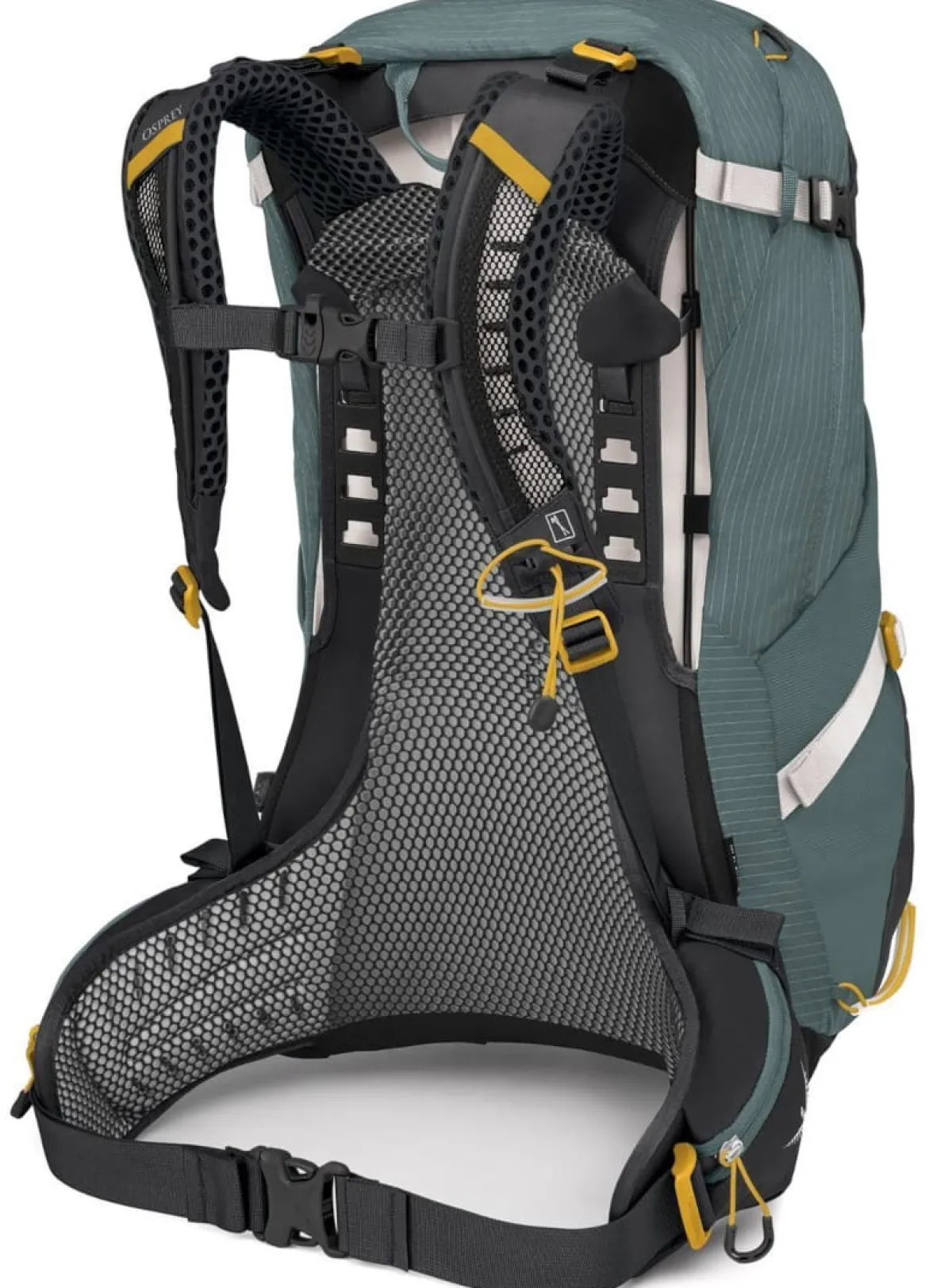 Osprey Sirrus 34 woman's trekking backpack Succulent Green New