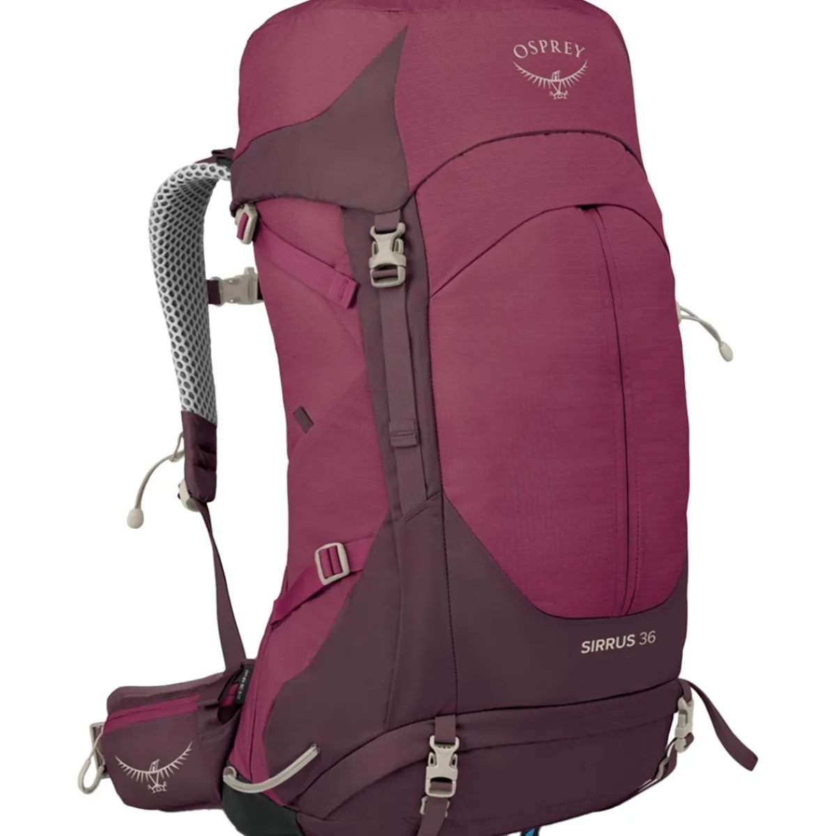 Osprey Sirrus 36 women's trekking backpack Cheap