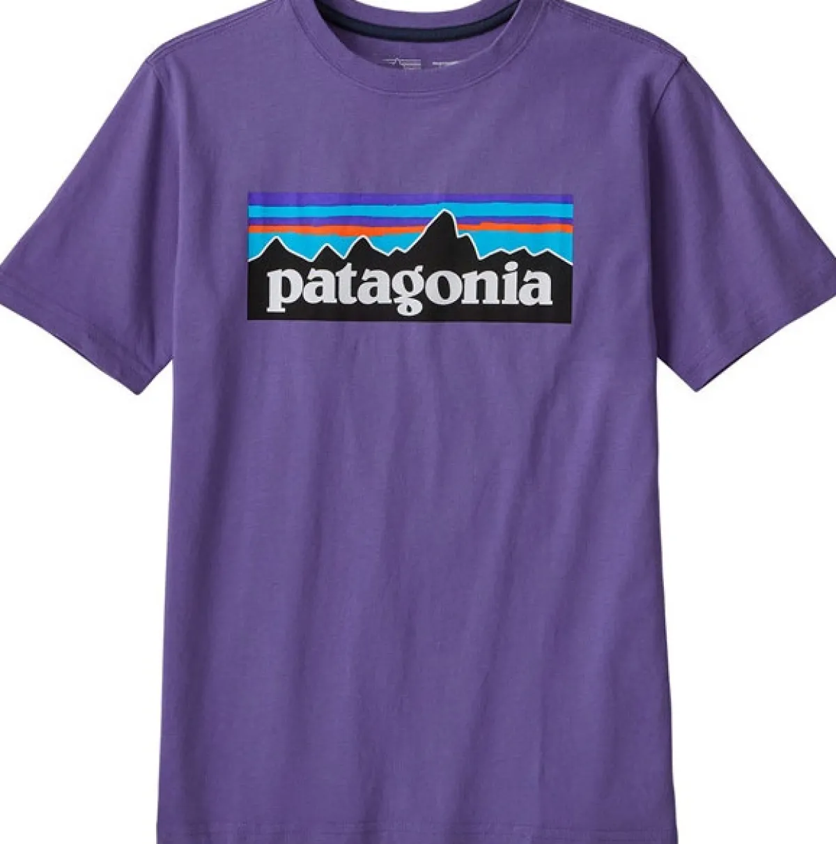 Patagonia Girls' Pastel P-6 Logo kid's t-shirts Petoskey Purple Outlet
