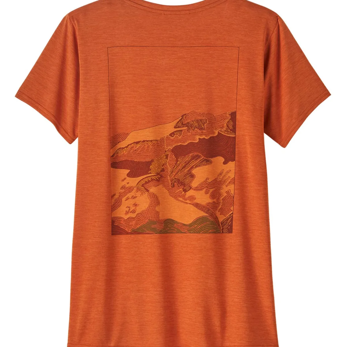 Patagonia W's Cap Cool Daily Graphic Shirt Lands Women's t-shirt Cheap