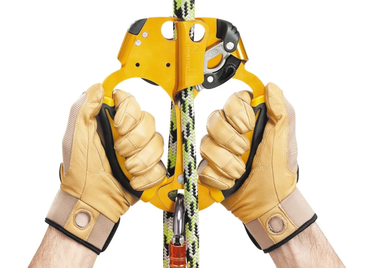 Petzl Ascentree double handled ascender tree care Best Sale