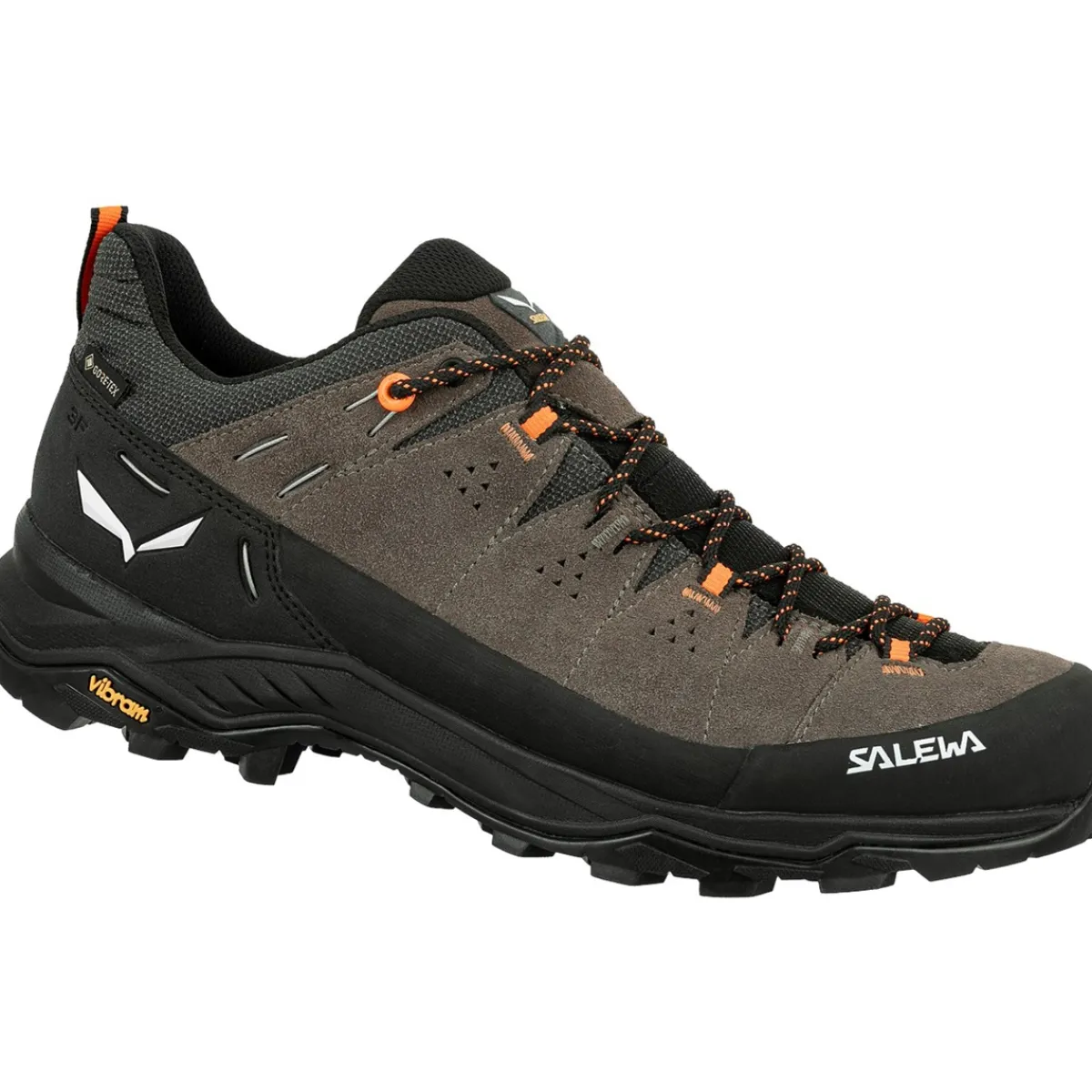 SALEWA M's Alp Trainer 2 GTX trekking shoes Store