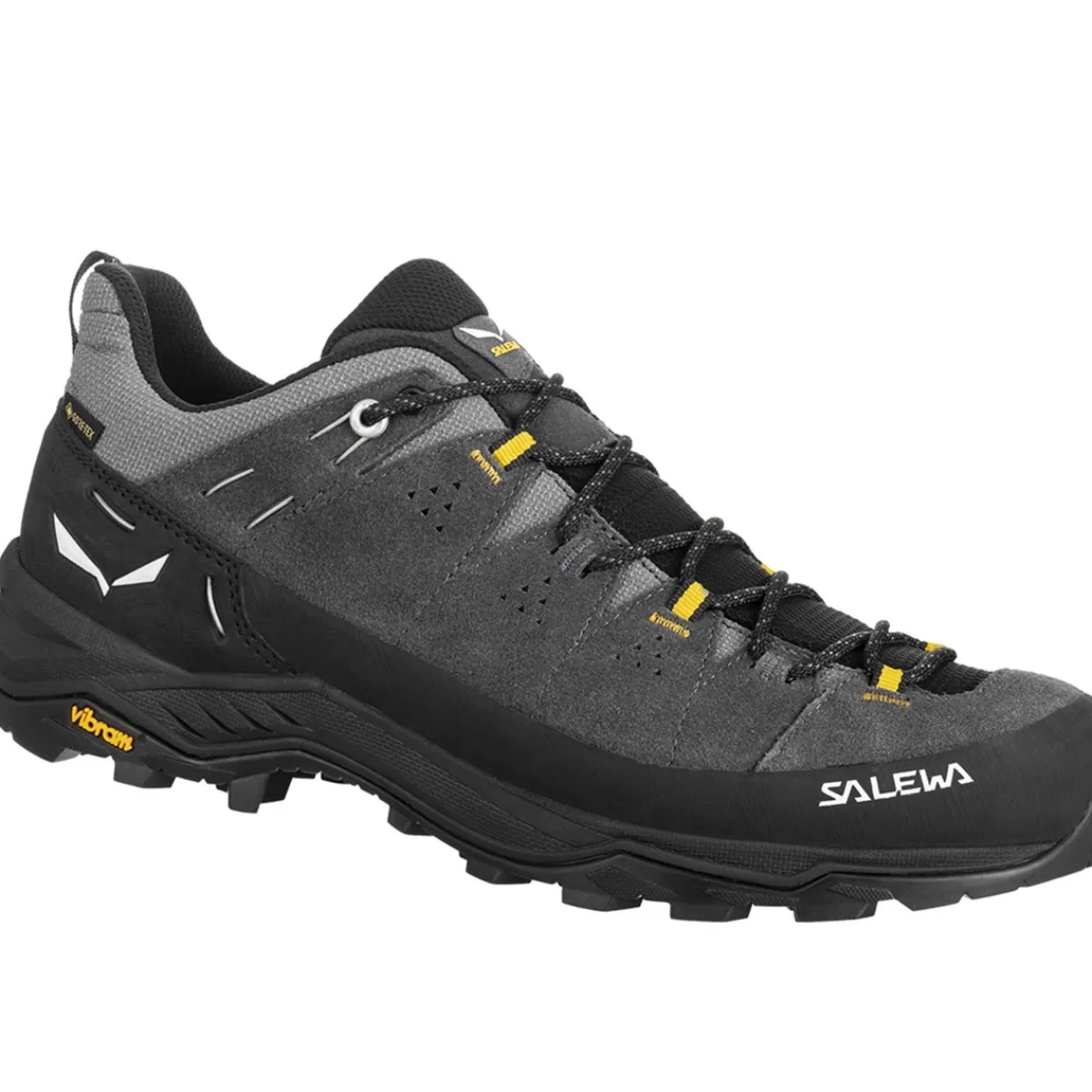 SALEWA M's Alp Trainer 2 GTX trekking shoes Store