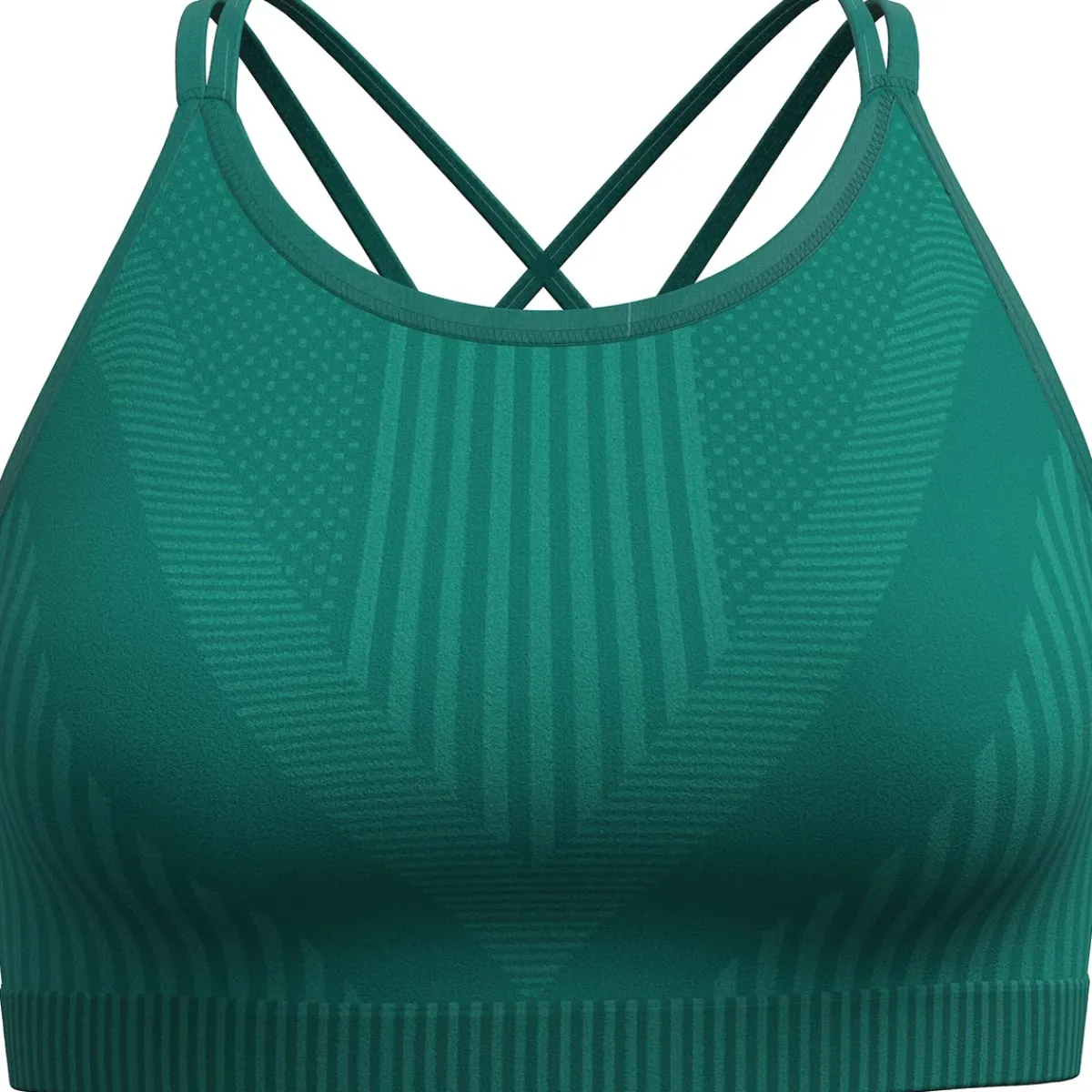 Smartwool Women's Intraknit Strappy Bra women's top Best