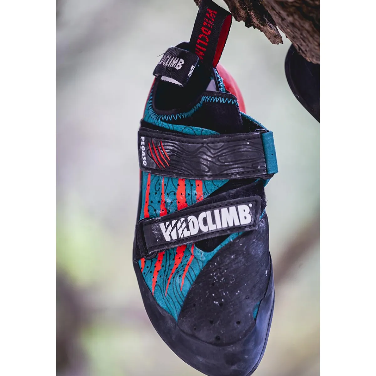 Wild Climb Pegaso climbing shoes Clearance